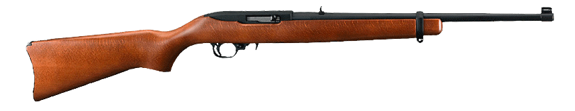 Ruger 1022