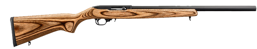 Ruger 1022