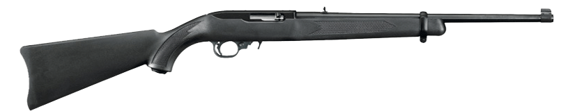 Ruger 1022