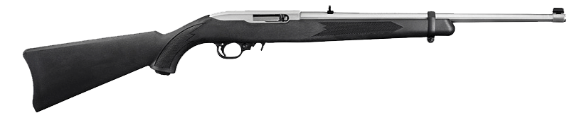 Ruger 1022