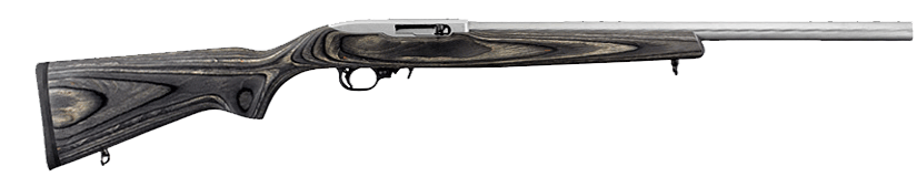 Ruger 1022